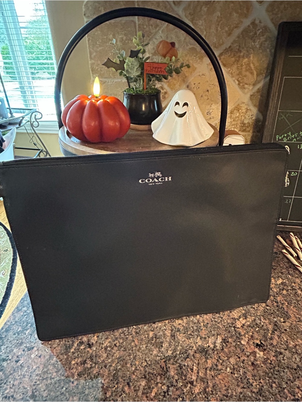 Coach Darcy Leather Metro Tech Pouch
 (Style F62520)